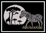 (image for) African Night